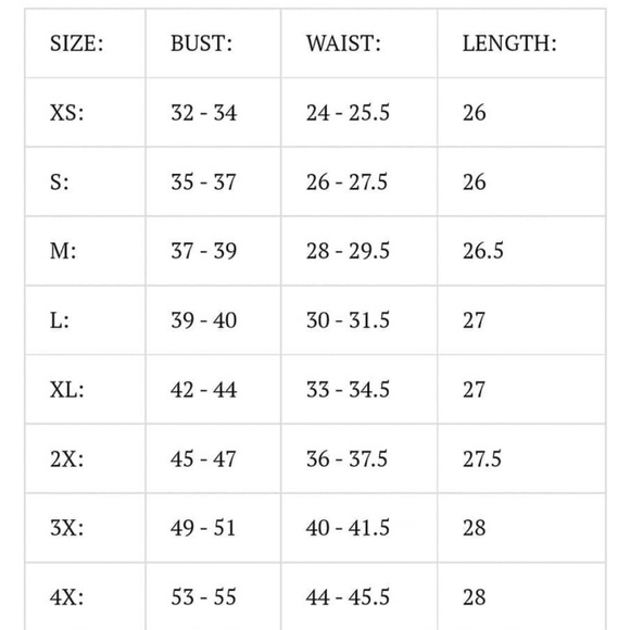 Vixen Romantique Wiggle NWT 3x - Picture 2 of 8